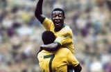 pele-1551183713.jpg