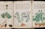 voynich-1561452469.jpg