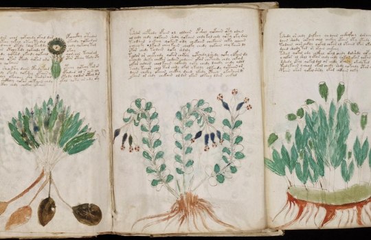 voynich-1561452469.jpg