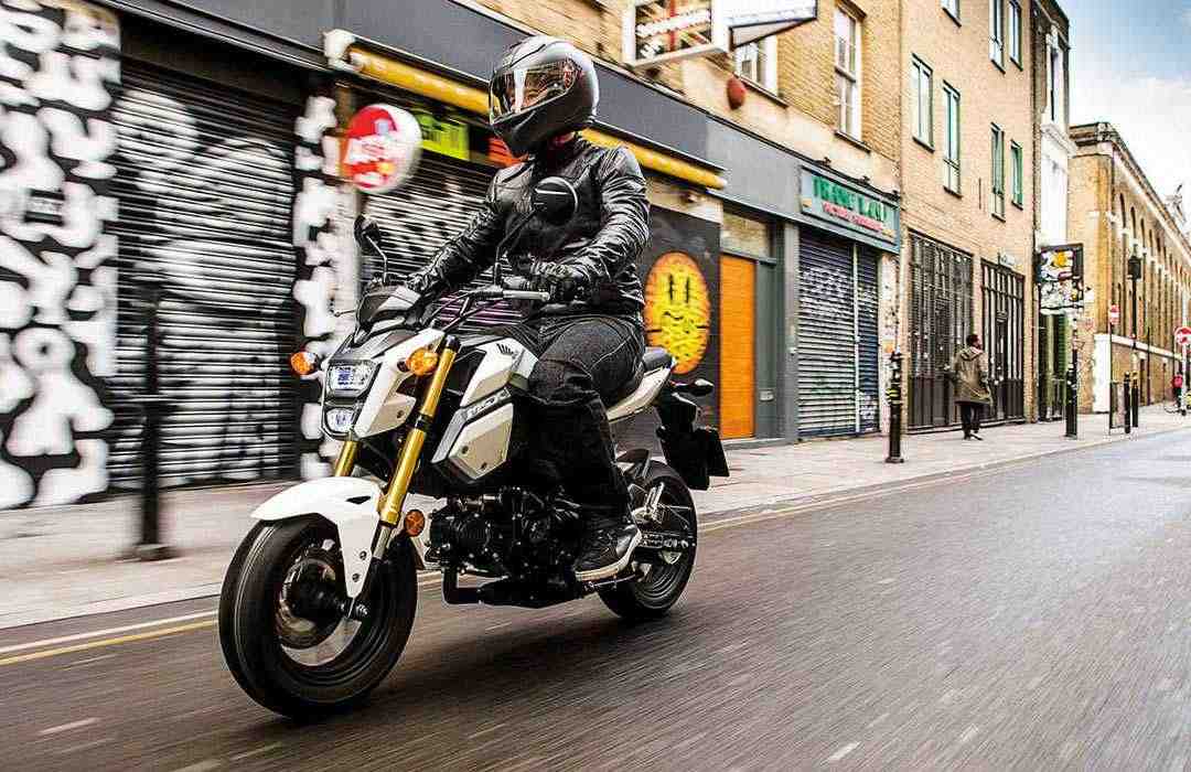 Honda-MSX125-1554469784.jpg