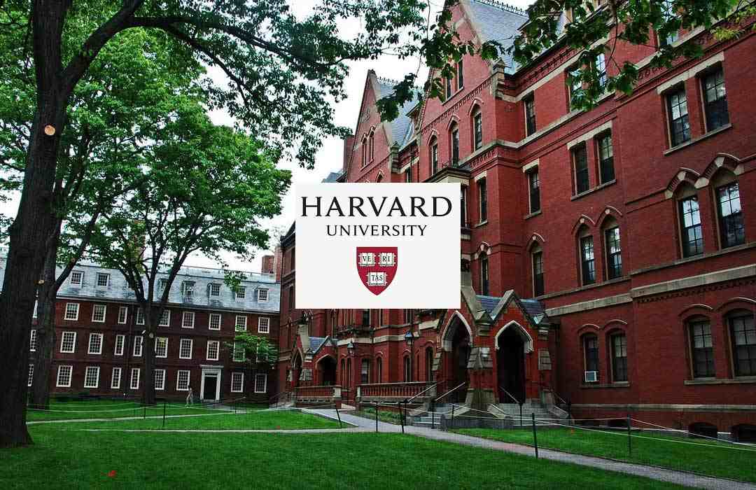 harvard-universitesi-1546871206.jpg
