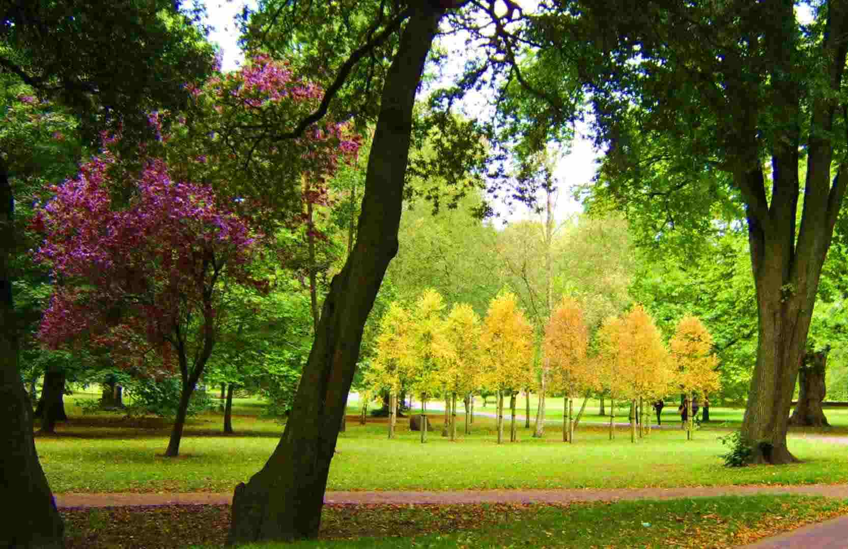 park-1555318548.jpg