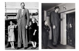 Robert-Wadlow-1558515815.jpg