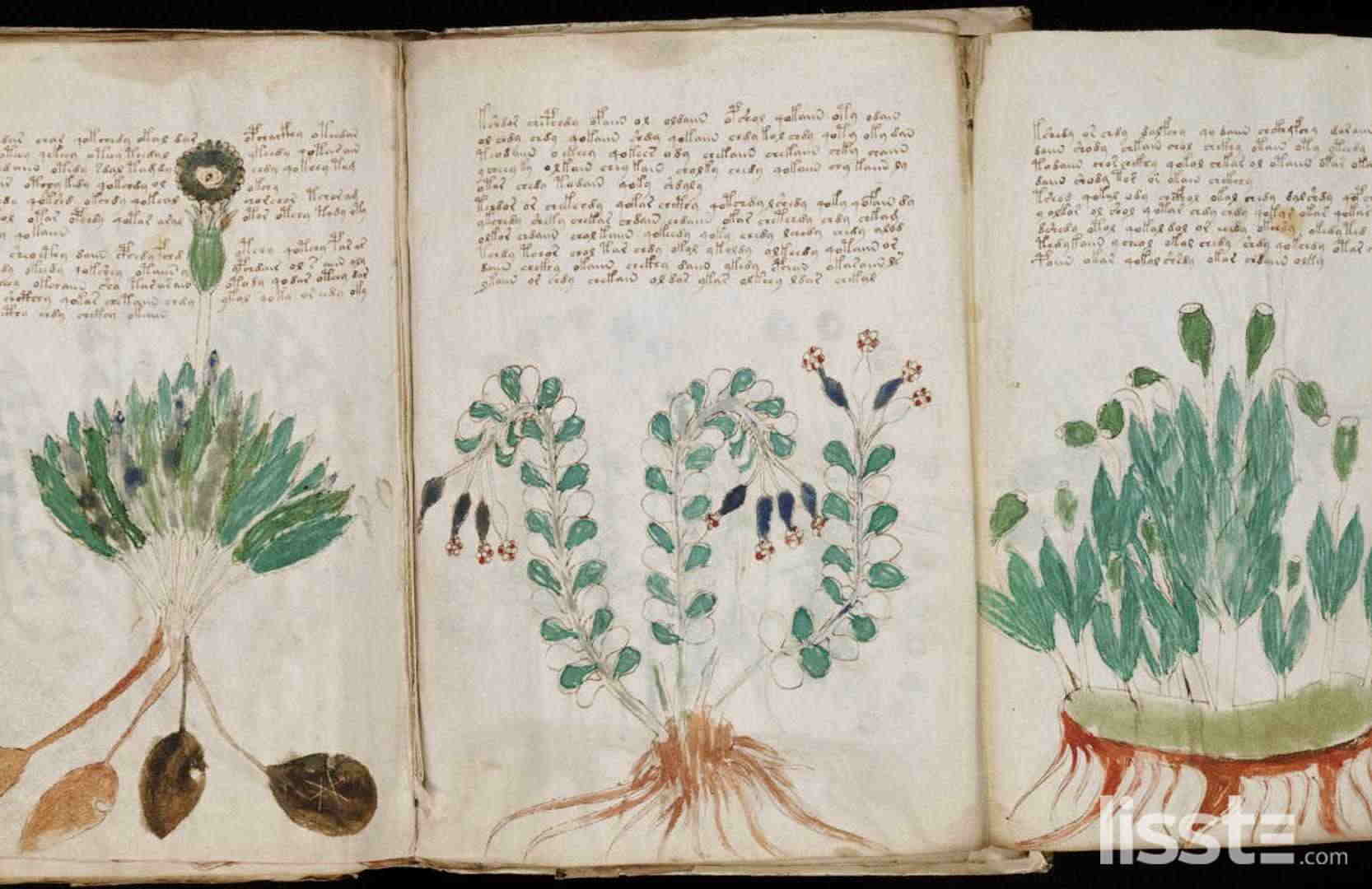 voynich-1561452469.jpg